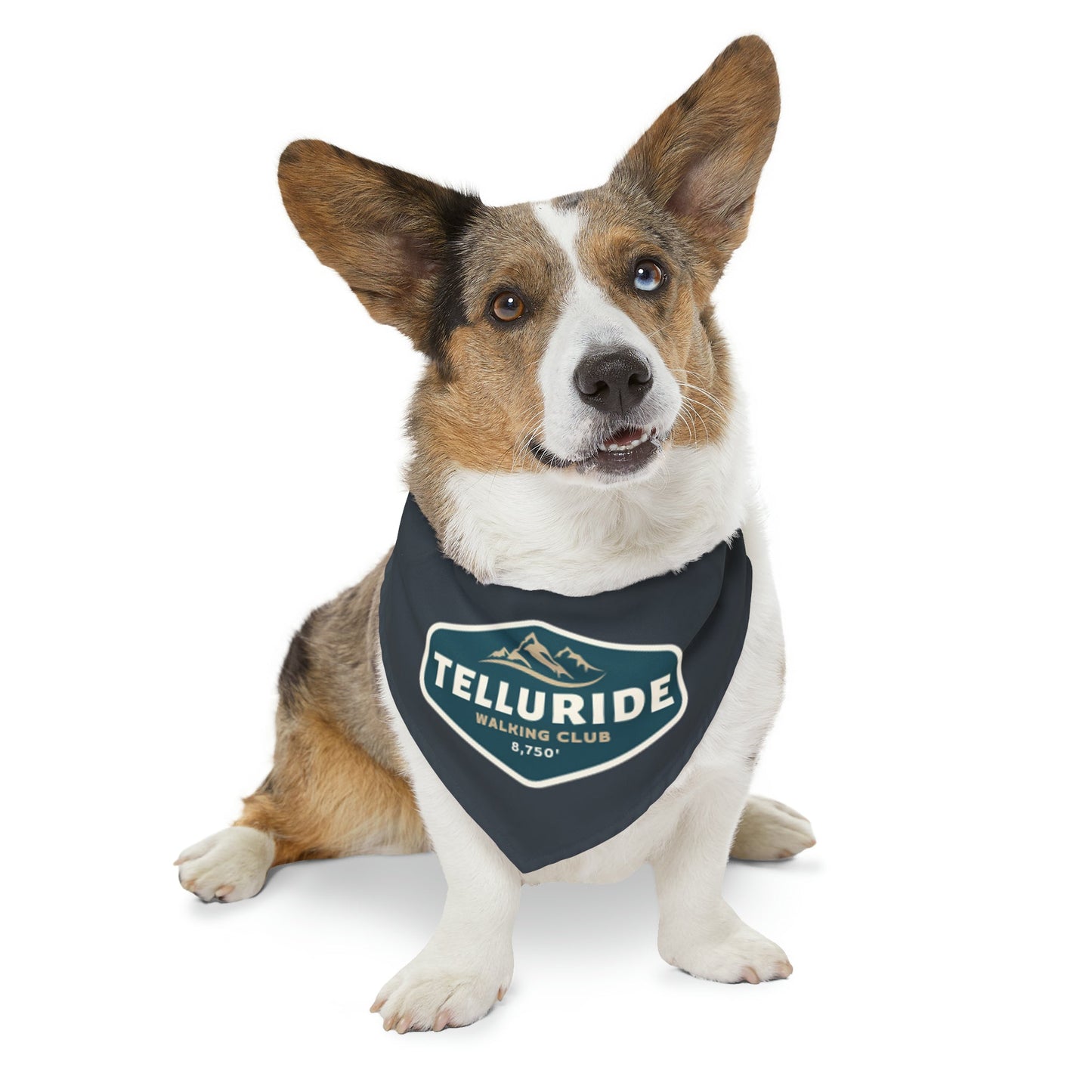 Telluride Dog Bandana Collar - Telluride Shop