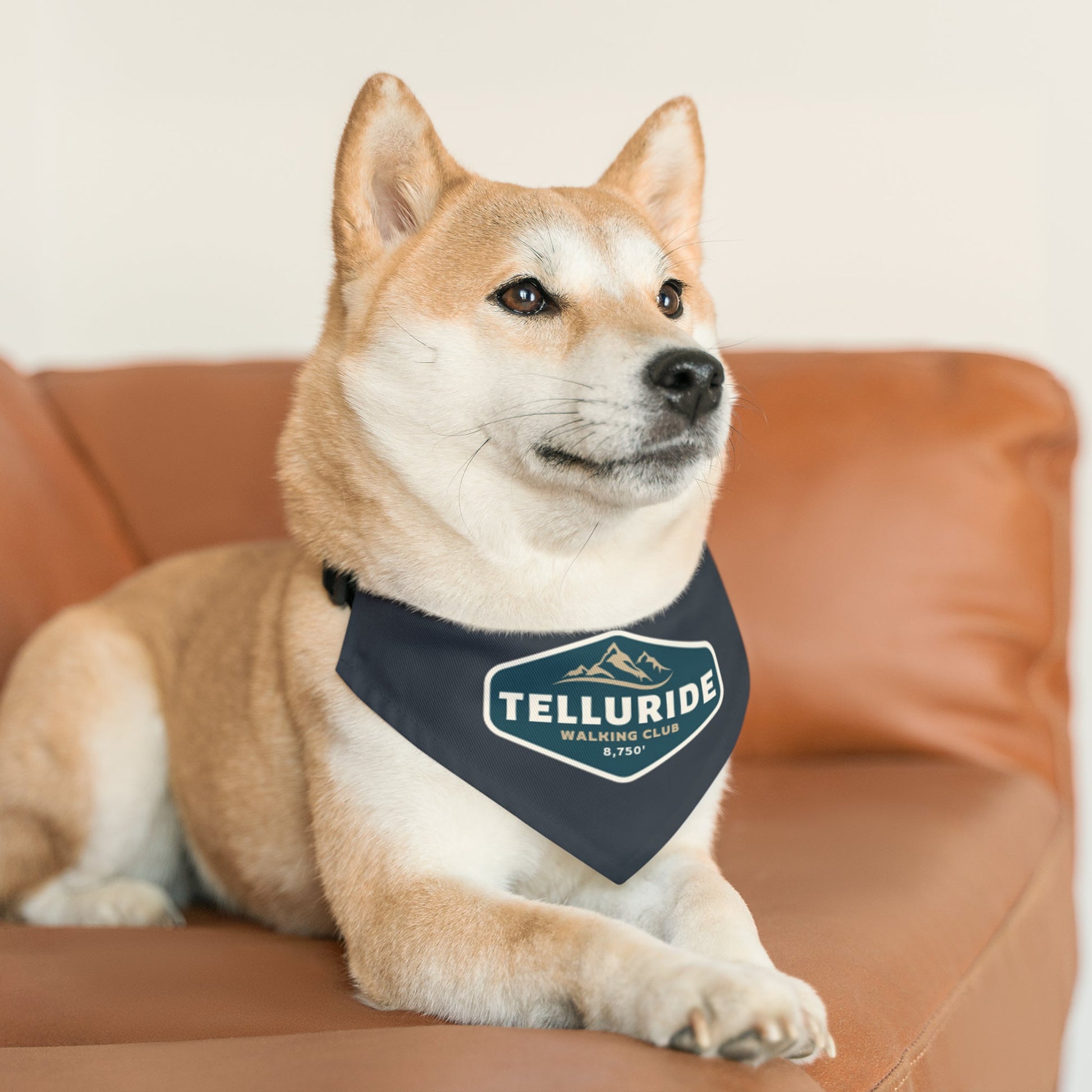 Telluride Dog Bandana Collar - Telluride Shop