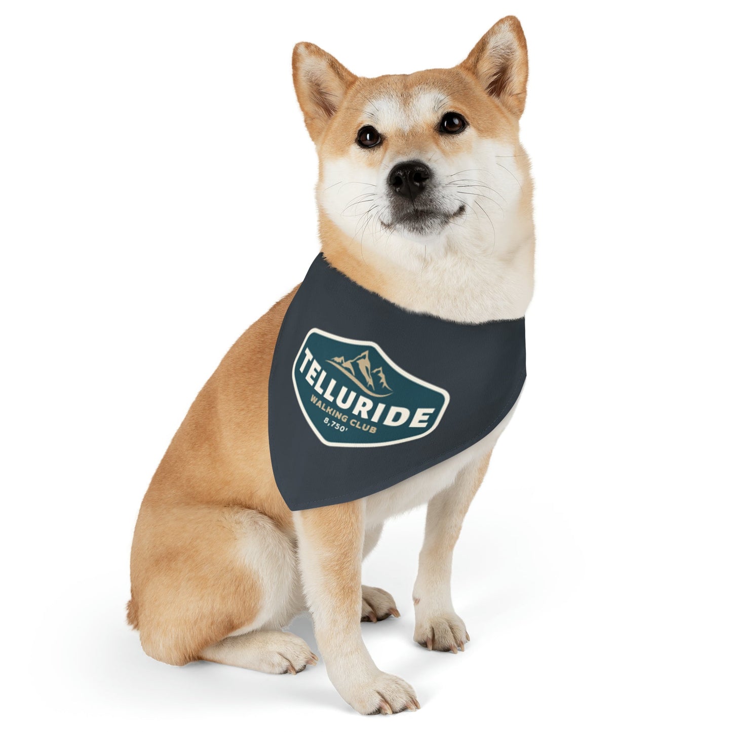 Telluride Dog Bandana Collar - Telluride Shop